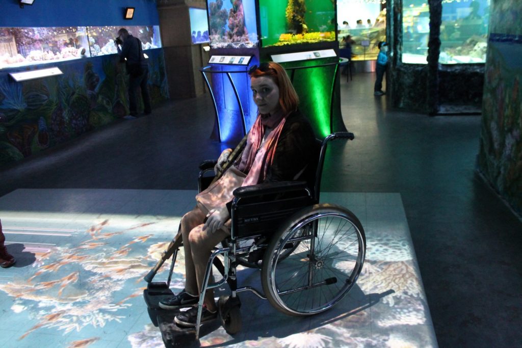  it is written that the aquarium was opened in 2002 and in 2007 acquired the status of a zoo.